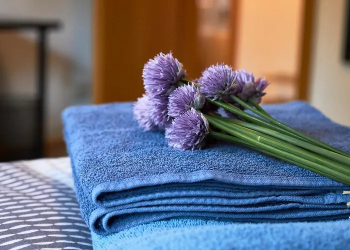 Apartman Grosszuegiges Nahe Frankfurt